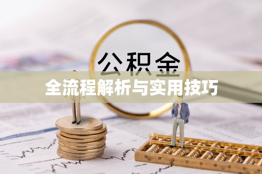金山全流程解析与实用技巧