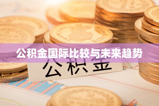金山公积金国际比较与未来趋势