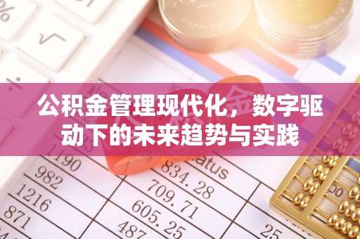 金山公积金管理现代化，数字驱动下的未来趋势与实践