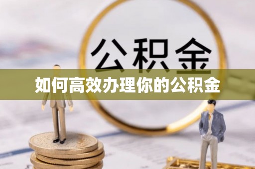 金山如何高效办理你的公积金