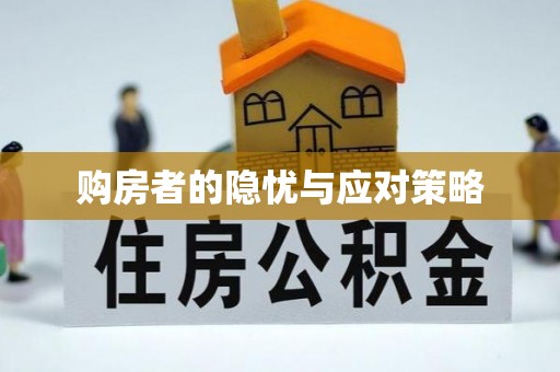 金山购房者的隐忧与应对策略