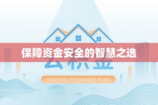 金山保障资金安全的智慧之选