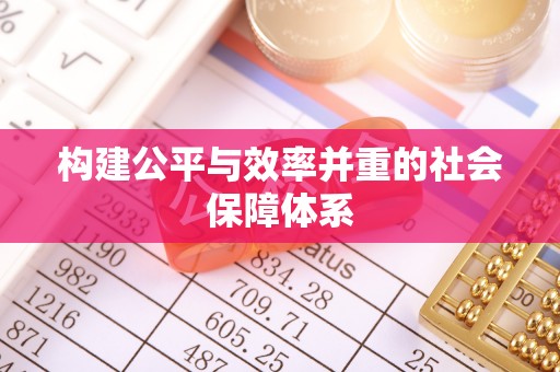金山构建公平与效率并重的社会保障体系