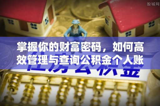 金山掌握你的财富密码，如何高效管理与查询公积金个人账户信息