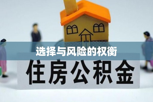 金山选择与风险的权衡