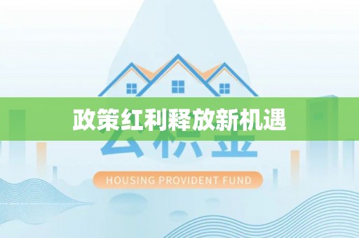 金山政策红利释放新机遇