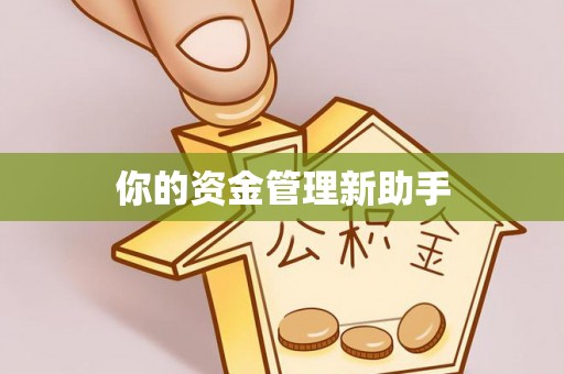 金山你的资金管理新助手