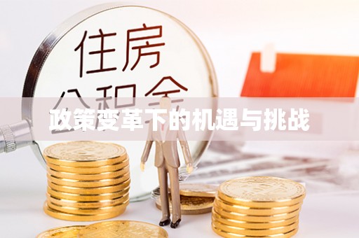 金山政策变革下的机遇与挑战