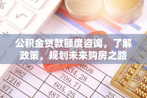 金山公积金贷款额度咨询，了解政策，规划未来购房之路