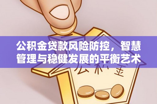 金山公积金贷款风险防控，智慧管理与稳健发展的平衡艺术