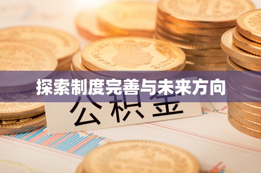 金山探索制度完善与未来方向