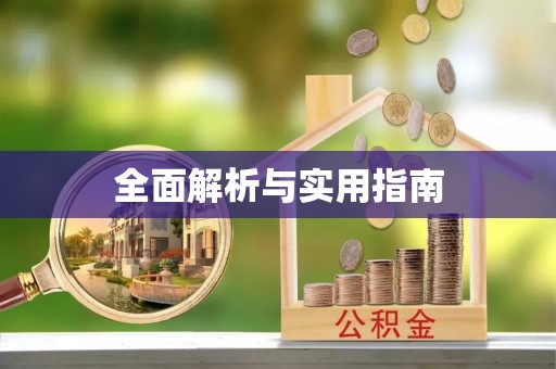 金山全面解析与实用指南