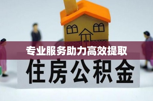 金山专业服务助力高效提取