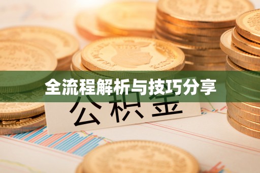 金山全流程解析与技巧分享